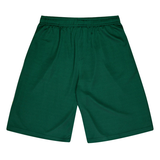 3601 Shorts