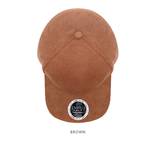 IV141-Cap