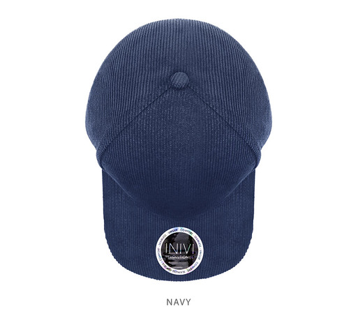 IV141-Cap