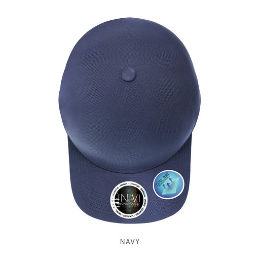 IV164-Cap