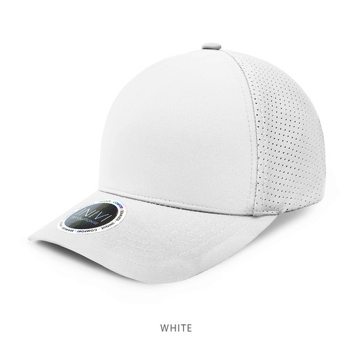 IV166-Cap