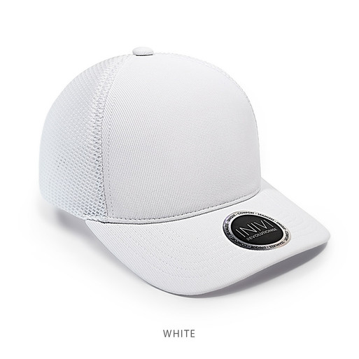 IV176-Cap