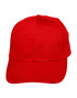 CH13 Cap