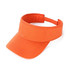 AH165-Visor
