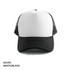 AH295-Cap