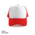 AH295-Cap