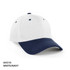 AH310-Cap