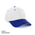 AH310-Cap