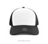 IV101-Cap