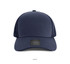IV101-Cap