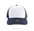IV101-Cap