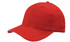4009 Cap