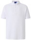 PS63 S/S Polo