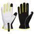 A776 PW3 Winter Glove