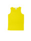CT1548 Singlet