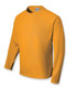 CT1629 Shirt