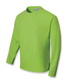 CT1629 Shirt