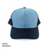 AH363-Cap