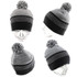 AH733-Beanie