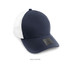 IV102-Cap