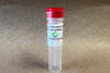 Recombinant SARS-CoV-2 Spike Protein (RBD) (C-His, insect cells)