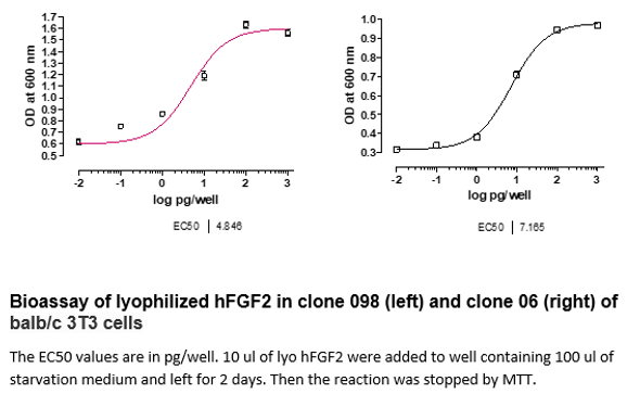 Recombinant Human FGF2 (Fibroblast Growth Factor 2)