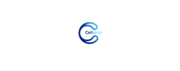 Mouse Primary DC Cells