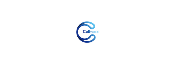 Human Endometrial Cancer Cells