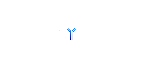 Phospho-RIPK2 (Ser176) Antibody