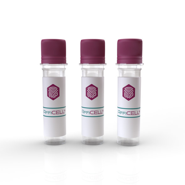 AffiCELL® Human Thyroid Normal Cells (Nthy-ori 3-1)
