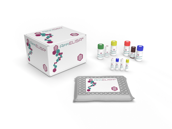 AffiELISA® Hamster (CHO) Beta 2-Microglobulin-ELISA Kit