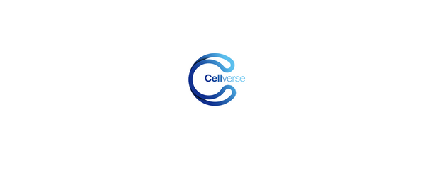 Human Primary Peripheral Blood Mononuclear Cells