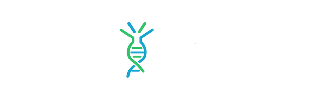 Human IL12A & IL12B Heterodimer Protein, hFc Tag & His Tag