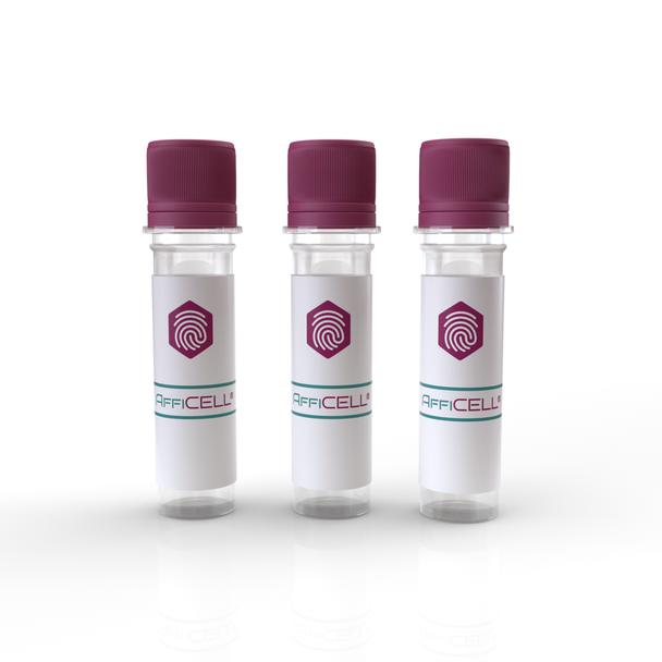 AffiCELL® Human Breast Cancer Cells