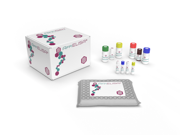 AffiELISA® Bovine IgG ELISA Kit