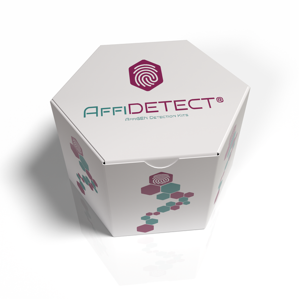 AffiDETECT® Annexin V-FITC Apoptosis Detection Kit -Equivalent to Biovision CAT# K101 & Abcam CAT# ab14085