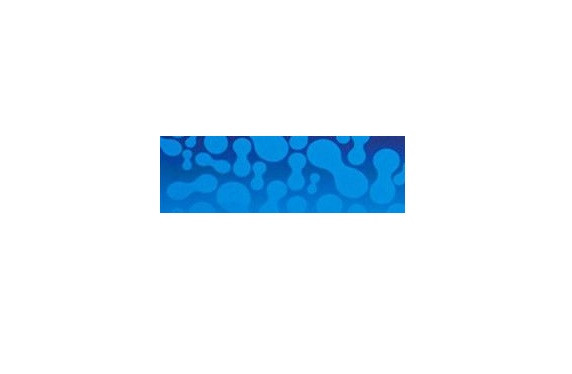 Mouse PYY(Peptide YY) CLIA Kit