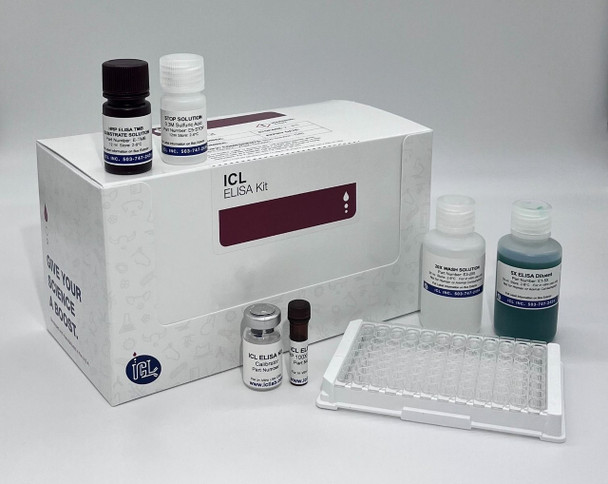 Human Alpha 1-Microglobulin ELISA Kit