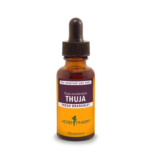 Thuja Occidentalis 1 oz.