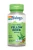Yellow Dock Root 100 VCaps (500 mg)