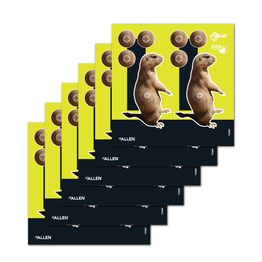Allen EZ Aim Target 8 X 8 6 Pack view 2