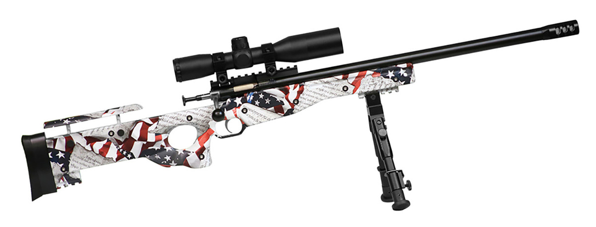 Crickett Precision .22 LR 18"