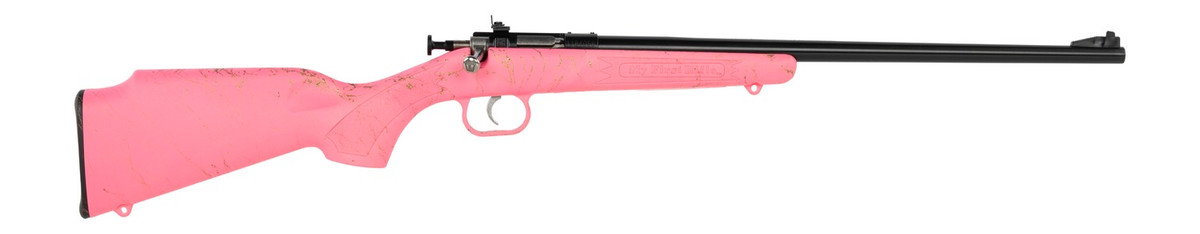 Crickett My First Rifle .22 LR 16.13" Black