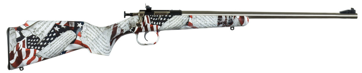 Crickett Youth .22 LR 16.12" Gray