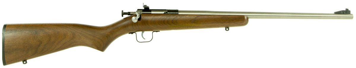 Crickett Youth .22 LR 16.12" Gray