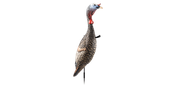 Flextone Funky Chicken Gen.2 Turkey Decoy