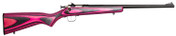 Crickett Youth .22 LR 16.12" Gray