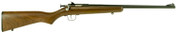 Crickett Youth .22 LR 16.12" Black