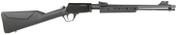 Rossi Gallery 22 LR