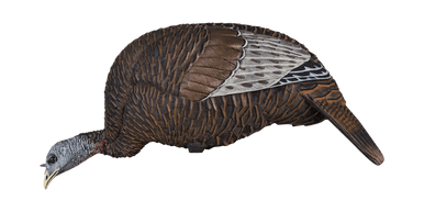 Flextone Thunder Chick Feeder Turkey Decoy